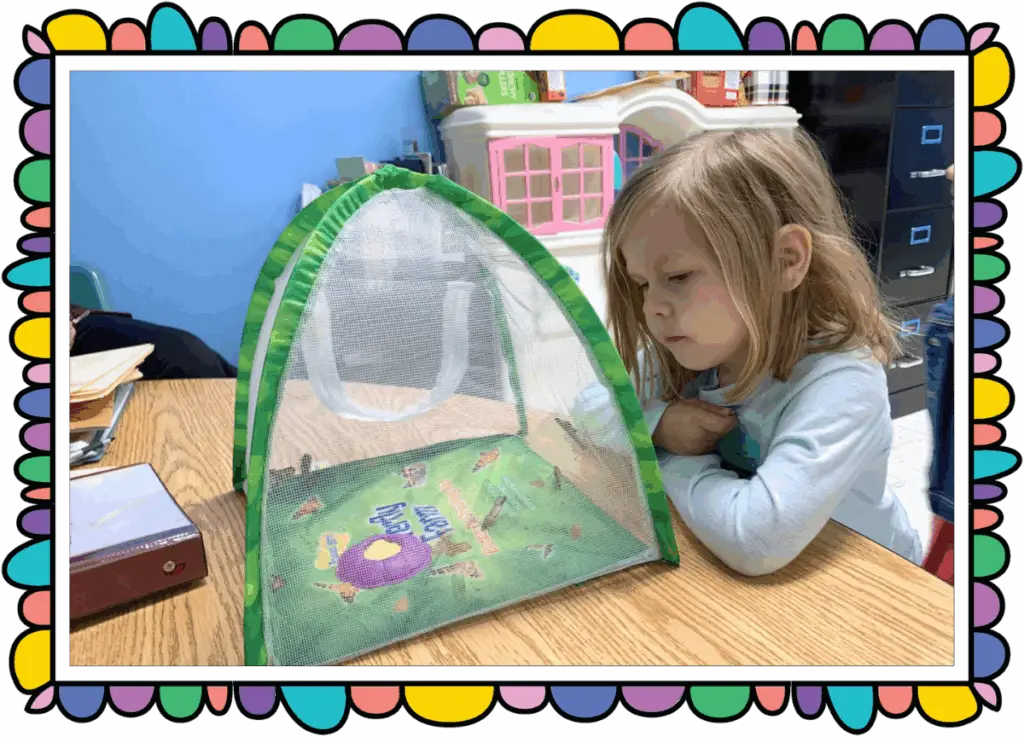 Our students learn about the world around them through science.